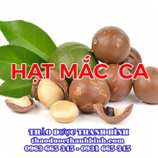Mua bán hạt mắc ca tại Cà Mau uy tín chất lượng nhất
