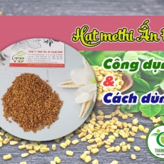 Mua bán hạt methi Ấn Độ tại TP.HCM uy tín chất lượng tốt nhất