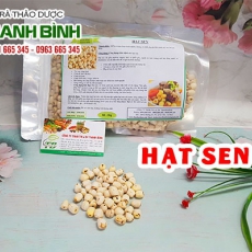 Mua bán hạt sen tại quận 8 có tác dụng bồi bổ cơ thể hiệu quả nhất