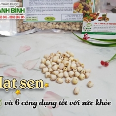 Mua bán hạt sen tại TP.HCM uy tín chất lượng tốt nhất