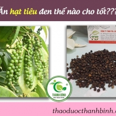 Mua bán hạt tiêu đen tại TP.HCM uy tín chất lượng tốt nhất