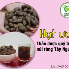 Mua bán hạt ươi ở quận Gò Vấp giúp nhuận tràng tốt