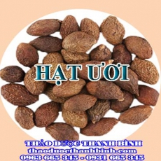 Mua bán hạt ươi tại Bắc Kạn giúp thanh nhiệt giải độc chảy máu cam hiệu quả