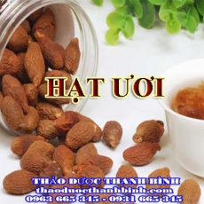 Mua bán hạt ươi tại Bắc Kạn uy tín chất lượng nhất