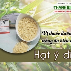 Mua bán hạt ý dĩ tại TP.HCM uy tín chất lượng tốt nhất