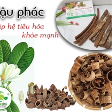 Mua bán hậu phác ở quận Phú Nhuận trị tiêu chảy hiệu quả nhất