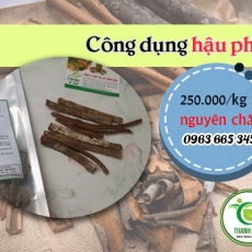 Mua bán hậu phác tại TP.HCM uy tín chất lượng tốt nhất