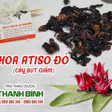 Mua bán hoa atiso đỏ ở quận Tân Phú chữa ho và đau rát cổ họng hiệu quả