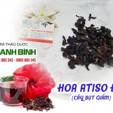 Mua bán hoa atiso đỏtại quận Hà Đông rất tốt điều trị chứng cảm lạnh