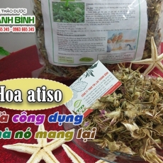 Mua bán hoa atiso ở quận Bình Tân có công dụng trị mụn tốt nhất