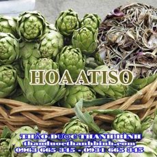 Mua bán hoa atiso tại Bắc Kạn giúp lợi tiểu mát gan hiệu quả