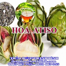 Mua bán hoa atiso tại Bắc Kạn uy tín chất lượng nhất