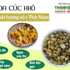 Mua bán hoa cúc khô tại quận 7 có khả năng trị cảm mạo rất hiệu quả tốt nhất