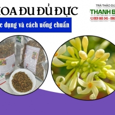 Mua bán hoa đu đủ đực tại TP.HCM uy tín chất lượng tốt nhất