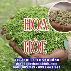 Mua bán hoa hòe tại Bình Thuận giúp cầm máu lợi tiểu hiệu quả