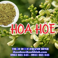 Mua bán hoa hòe tại Bình Thuận uy tín chất lượng nhất