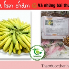 Mua bán hoa kim châm tại TP.HCM uy tín chất lượng tốt nhất