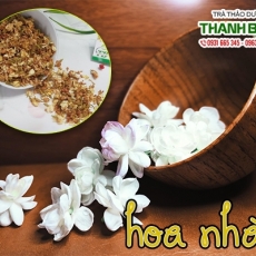 Mua bán hoa nhài tại TP.HCM uy tín chất lượng tốt nhất