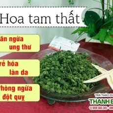 Mua bán hoa tam thất ở quận Thủ Đức có tác dụng ngủ ngon an toàn hiệu quả nhất