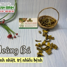 Mua bán hoàng bá tại TP.HCM uy tín chất lượng tốt nhất