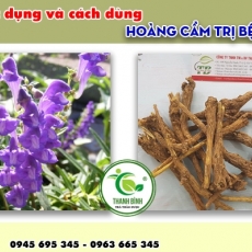 Mua bán hoàng cầm ở quận Thủ Đức có tác dụng chống oxy hóa an toàn hiệu quả nhất
