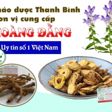 Mua bán hoàng cầm tại TP.HCM uy tín chất lượng tốt nhất