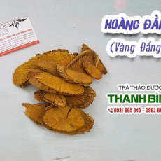 Mua bán hoàng đằng ở huyện Bình Chánh điều trị viêm tai chảy mủ hiệu quả