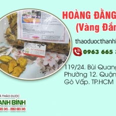 Mua bán hoàng đằng ở huyện Củ Chi hỗ trợ chống nấm an toàn nhất