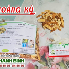 Mua bán hoàng kỳ ở quận Tân Bình có tác dụng điều trị liệt nửa người