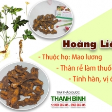 Mua bán hoàng liên tại TP.HCM uy tín chất lượng tốt nhất