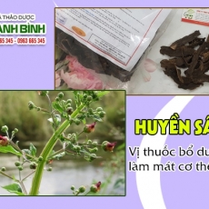 Mua bán huyền sâm ở huyện Hóc Môn giúp cường tim hiệu quả nhất