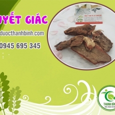 Mua bán huyết giác tại quận 8 có tác dụng bổ máu uy tín nhất
