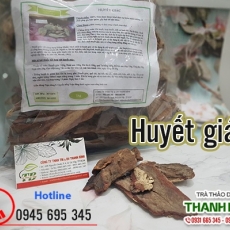 Mua bán huyết giác tại TP.HCM uy tín chất lượng tốt nhất