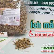 Mua bán ích mẫu ở huyện Bình Chánh giúp bổ tim mạch hiệu quả nhất