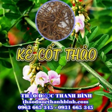 Mua bán kê cốt thảo ở huyện Hóc Môn giúp lợi tiểu đại tiện không thông