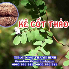 Mua bán kê cốt thảo tại huyện Mê Linh giúp phòng điều trị xơ gan viêm gan