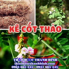 Mua bán kê cốt thảo tại Sơn La điều trị đại tiện không tiêu tiểu ít