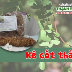 Mua bán kê cốt thảo tại TP.HCM uy tín chất lượng tốt nhất