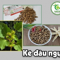 Mua bán ké đầu ngựa ở quận Bình Thạnh có tác dụng trị sốt rét mãn tính hiệu quả nhất