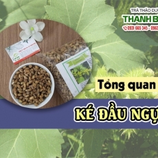 Mua bán ké đầu ngựa tại TP.HCM uy tín chất lượng tốt nhất