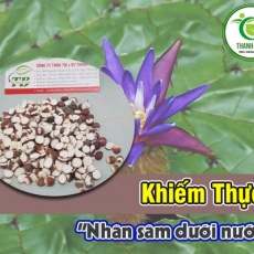 Mua bán khiếm thực tại TP.HCM uy tín chất lượng tốt nhất