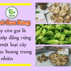 Mua bán khổ qua rừng tại TP.HCM uy tín chất lượng tốt nhất