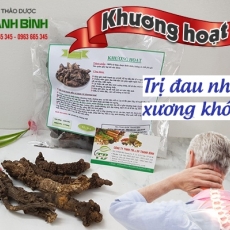 Mua bán khương hoạt tại TP.HCM uy tín chất lượng tốt nhất?