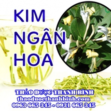 Mua bán kim ngân hoa tại Cần Thơ giúp điều trị viêm xoang hiệu quả