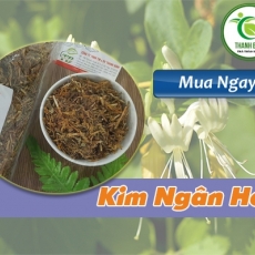 Mua bán kim ngân hoa tại TP.HCM uy tín chất lượng tốt nhất