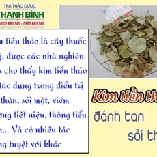Mua bán kim tiền thảo ở huyện Cần Giờ có tác dụng giúp lợi tiểu tốt nhất