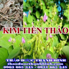 Mua bán kim tiền thảo tại Bà Rịa - Vũng Tàu uy tín chất lượng nhất