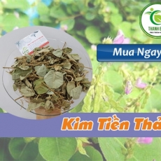 Mua bán kim tiền thảo tại quận 8 có tác dụng tán sỏi thận uy tín nhất