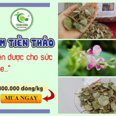 Mua bán kim tiền thảo tại TP.HCM uy tín chất lượng tốt nhất