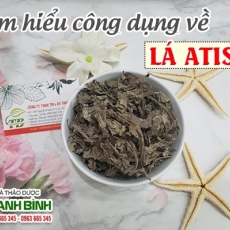 Mua bán lá atiso tại TP.HCM uy tín chất lượng tốt nhất
